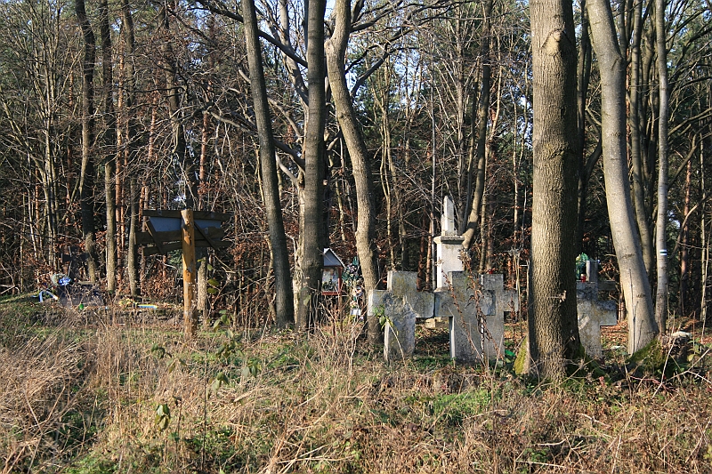 Rostoczek 11.2008 271